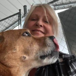 Meet your Posher, Denise